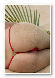 Click to view the bikini t-back accessory photo gallery