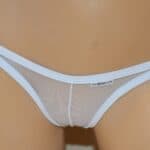 thebikini-cameltoe-sheer-thong-bikini-jasmine-9