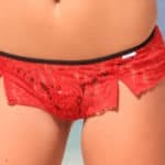 Lace-lingerie-shorts-17