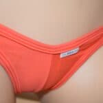 thebikini-cameltoe-sheer-thong-bikini-jasmine-3